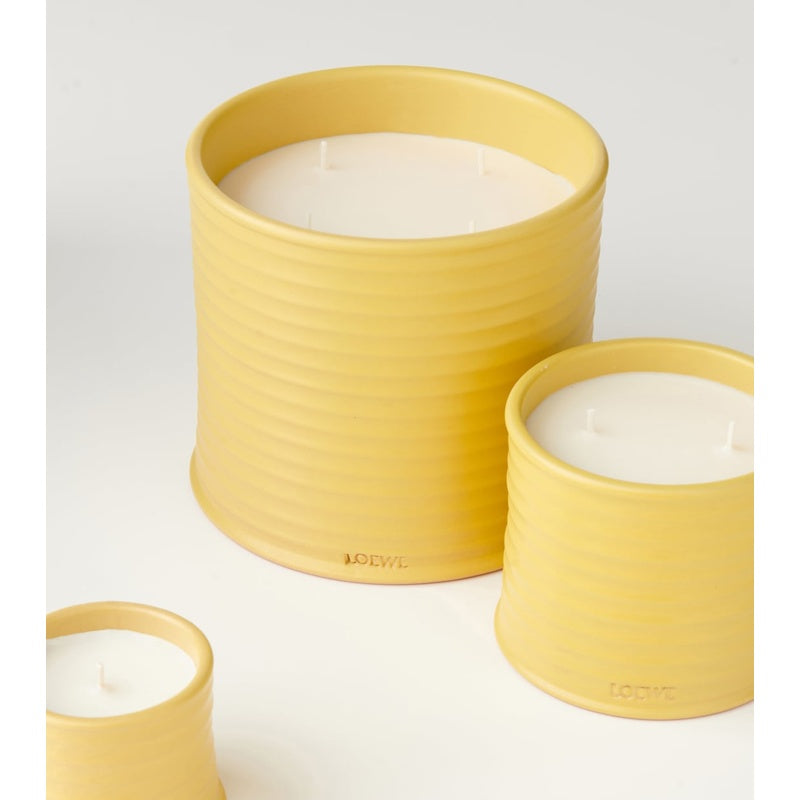 Vela pequena de madressilva - Mercado de Luxo - O Maior E-Commerce de Bens, Produtos e Serviços de Luxo do Brasil.