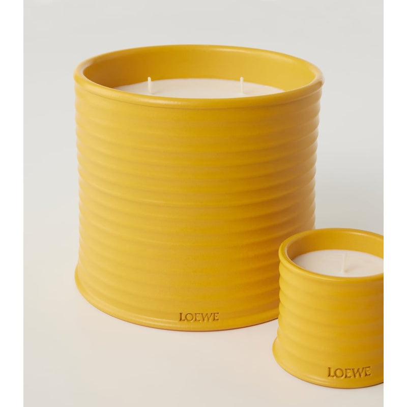 Vela pequena Wasabi - Mercado de Luxo - O Maior E-Commerce de Bens, Produtos e Serviços de Luxo do Brasil.