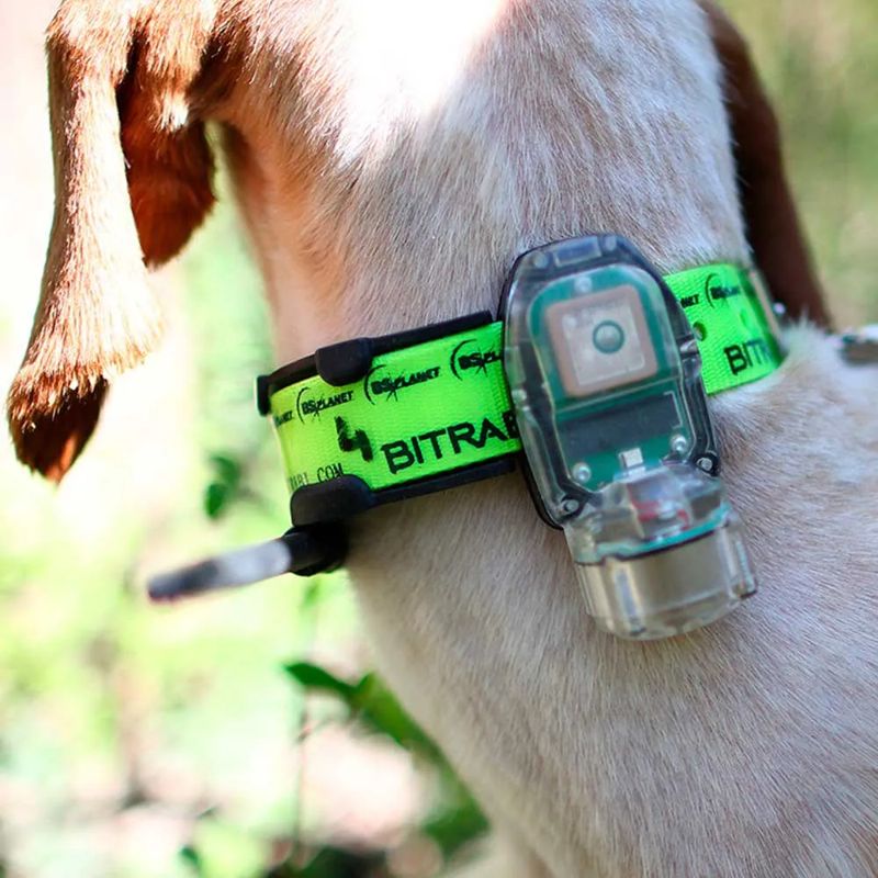 Conjunto de coleira para cão Mito 5100 BS300 Combi GPS - Mercado de Luxo - O Maior E-Commerce de Bens, Produtos e Serviços de Luxo do Brasil.