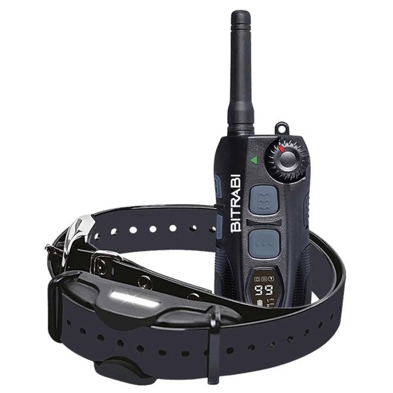 Conjunto de coleira para cão Professional - Mercado de Luxo - O Maior E-Commerce de Bens, Produtos e Serviços de Luxo do Brasil.