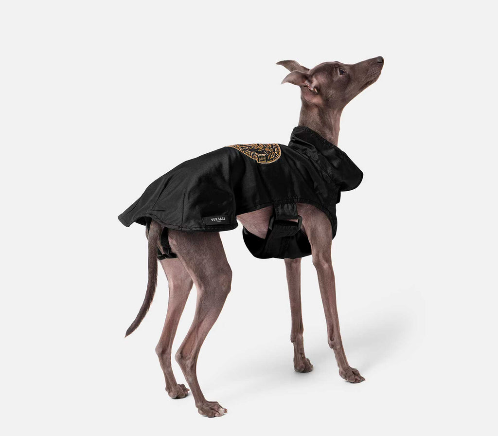 Capa de Chuva Medusa com Cristais - Mercado de Luxo - O Maior E-Commerce de Bens, Produtos e Serviços de Luxo do Brasil.