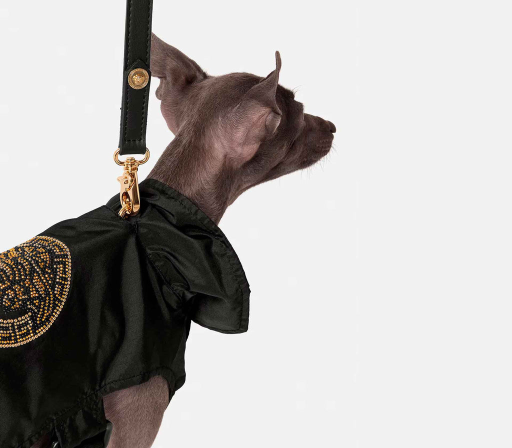 Capa de Chuva Medusa com Cristais - Mercado de Luxo - O Maior E-Commerce de Bens, Produtos e Serviços de Luxo do Brasil.