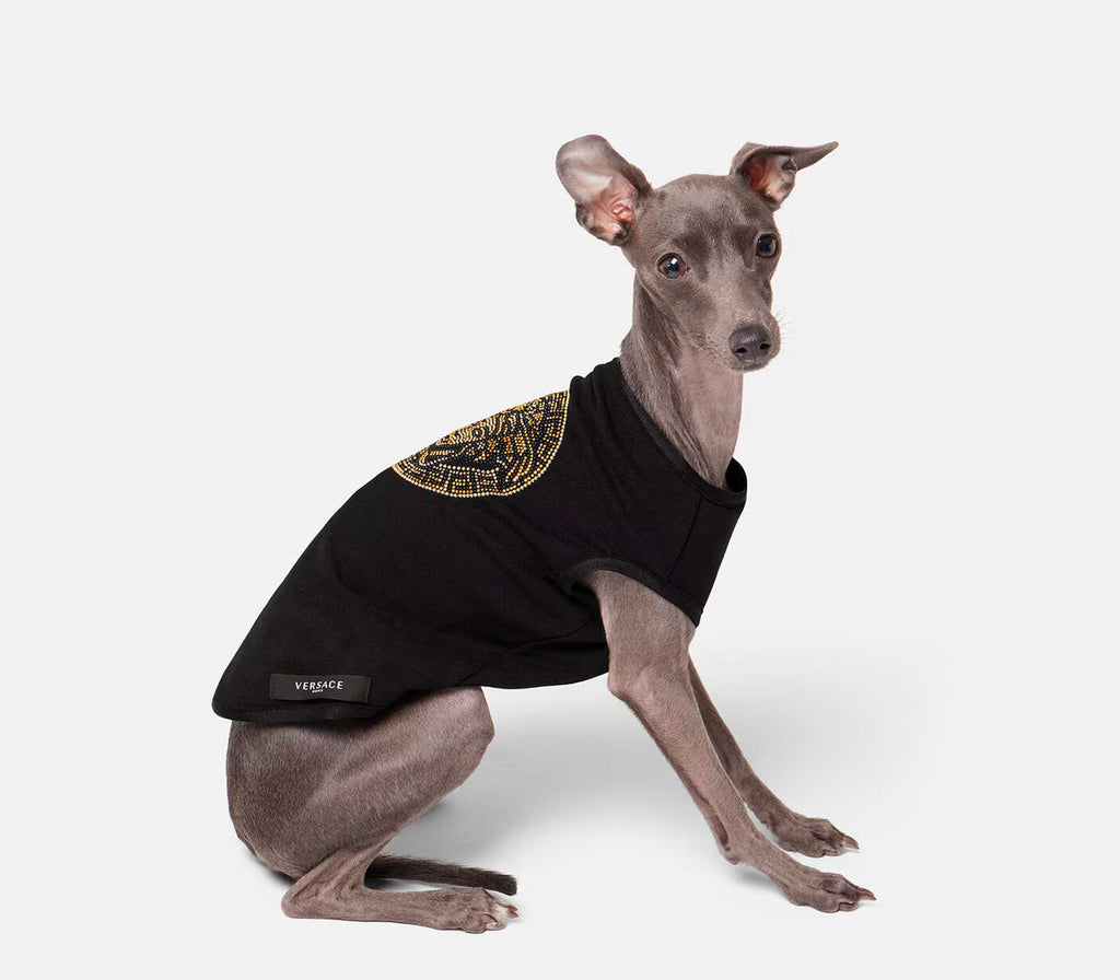 Roupinha para Pet Medusa com Cristais - Mercado de Luxo - O Maior E-Commerce de Bens, Produtos e Serviços de Luxo do Brasil.