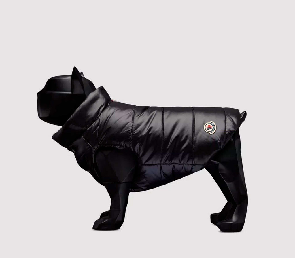 Roupinha Acolchoada para Cachorro - Mercado de Luxo - O Maior E-Commerce de Bens, Produtos e Serviços de Luxo do Brasil.