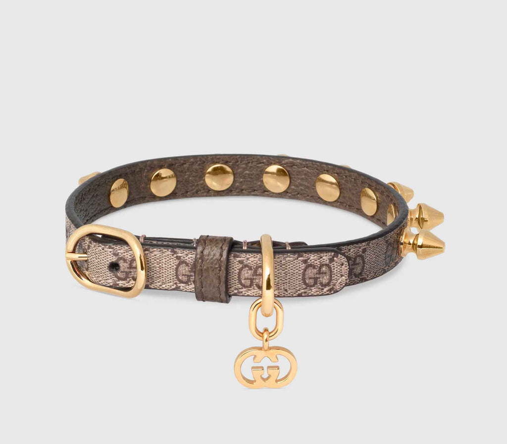 Coleira para Pet de Pequeno Porte - Pregos - Mercado de Luxo - O Maior E-Commerce de Bens, Produtos e Serviços de Luxo do Brasil.