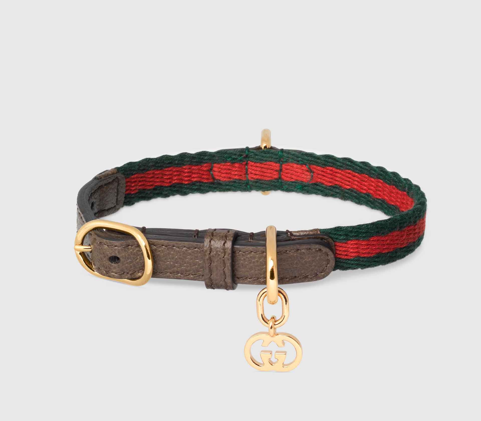 Coleira para Pet de Pequeno Porte - Web - Mercado de Luxo - O Maior E-Commerce de Bens, Produtos e Serviços de Luxo do Brasil.
