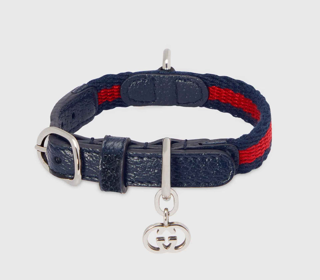 Coleira para Pet de Pequeno Porte - Web Azul - Mercado de Luxo - O Maior E-Commerce de Bens, Produtos e Serviços de Luxo do Brasil.