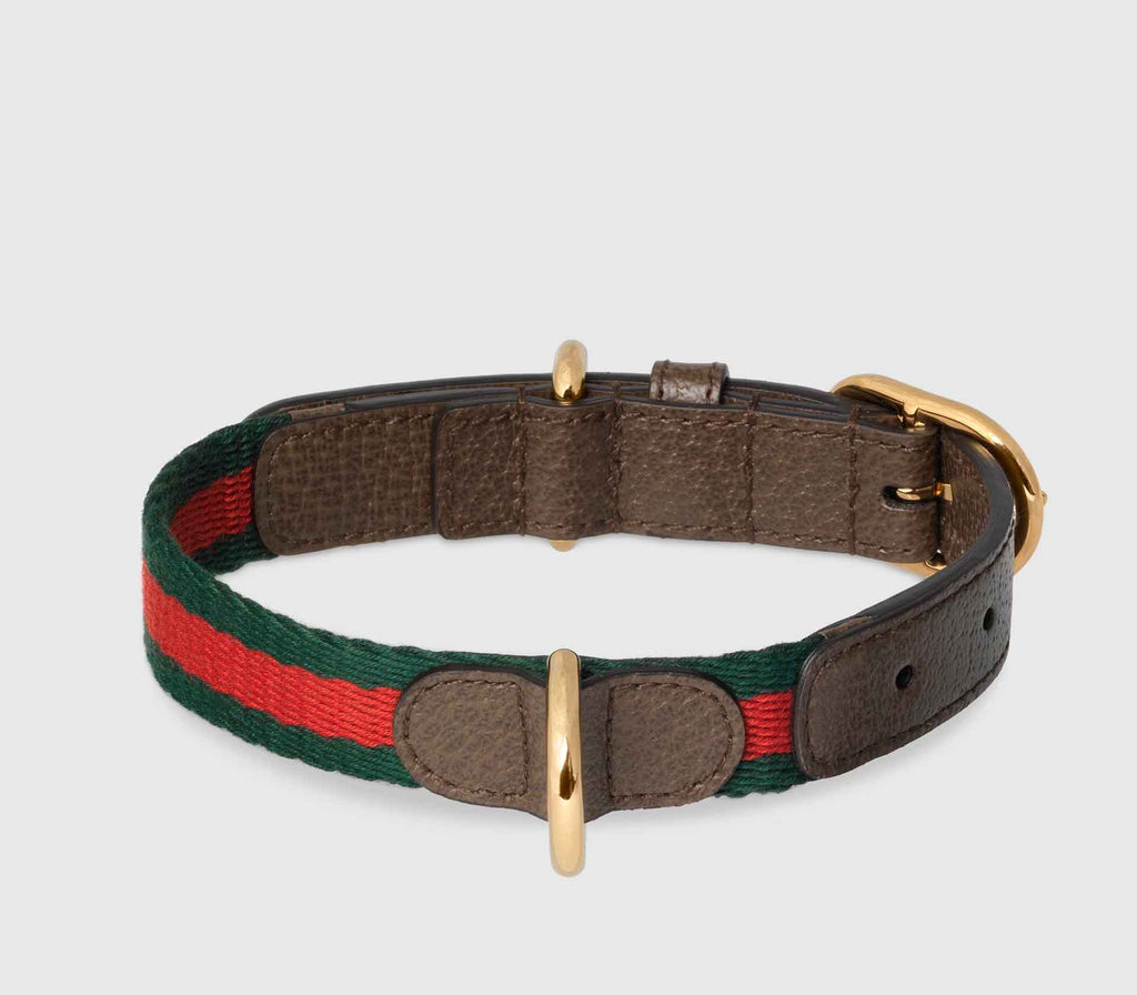 Coleira para Pet de Porte - Web - Mercado de Luxo - O Maior E-Commerce de Bens, Produtos e Serviços de Luxo do Brasil.
