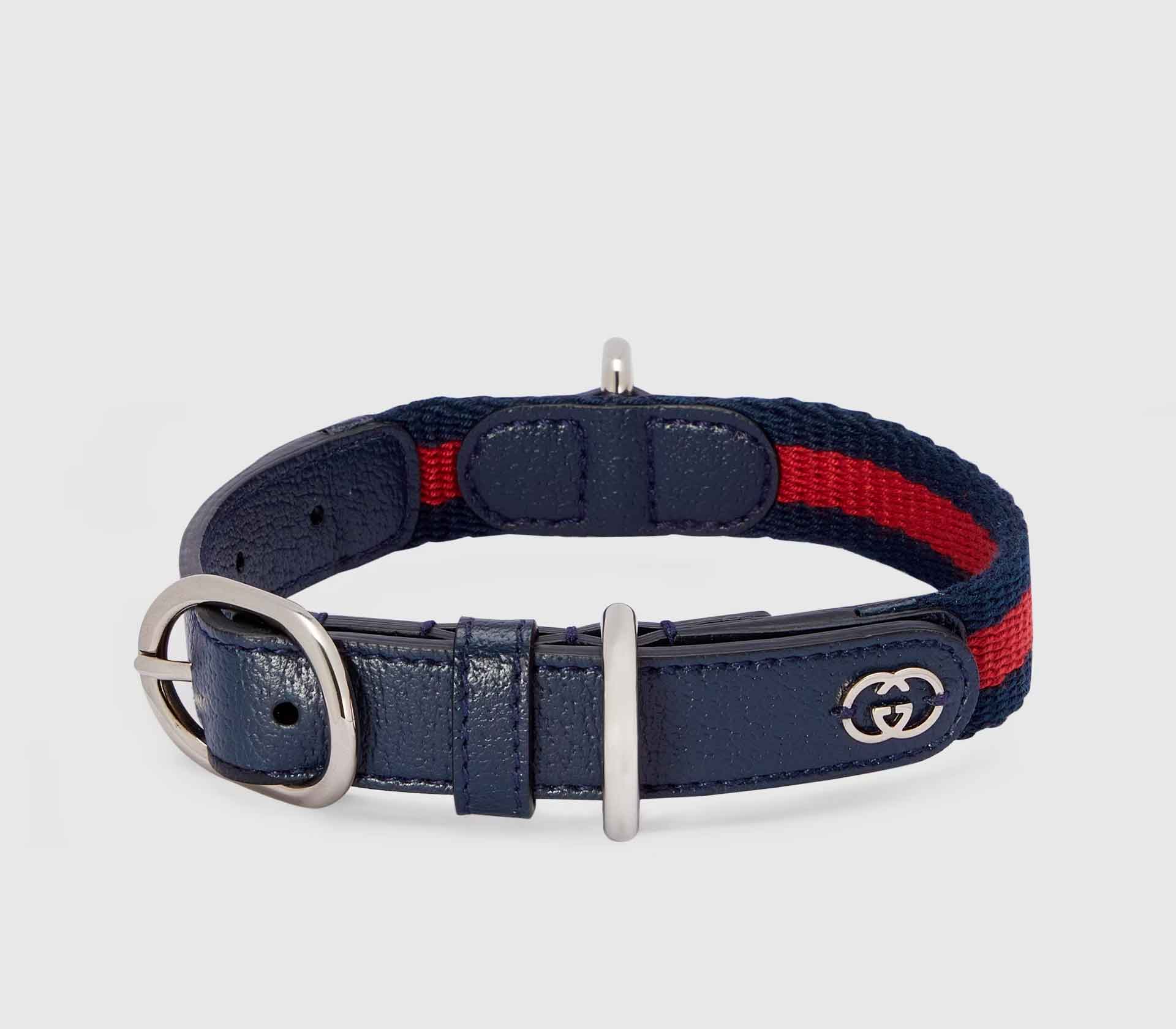 Coleira para Pet de Porte - Web Azul - Mercado de Luxo - O Maior E-Commerce de Bens, Produtos e Serviços de Luxo do Brasil.
