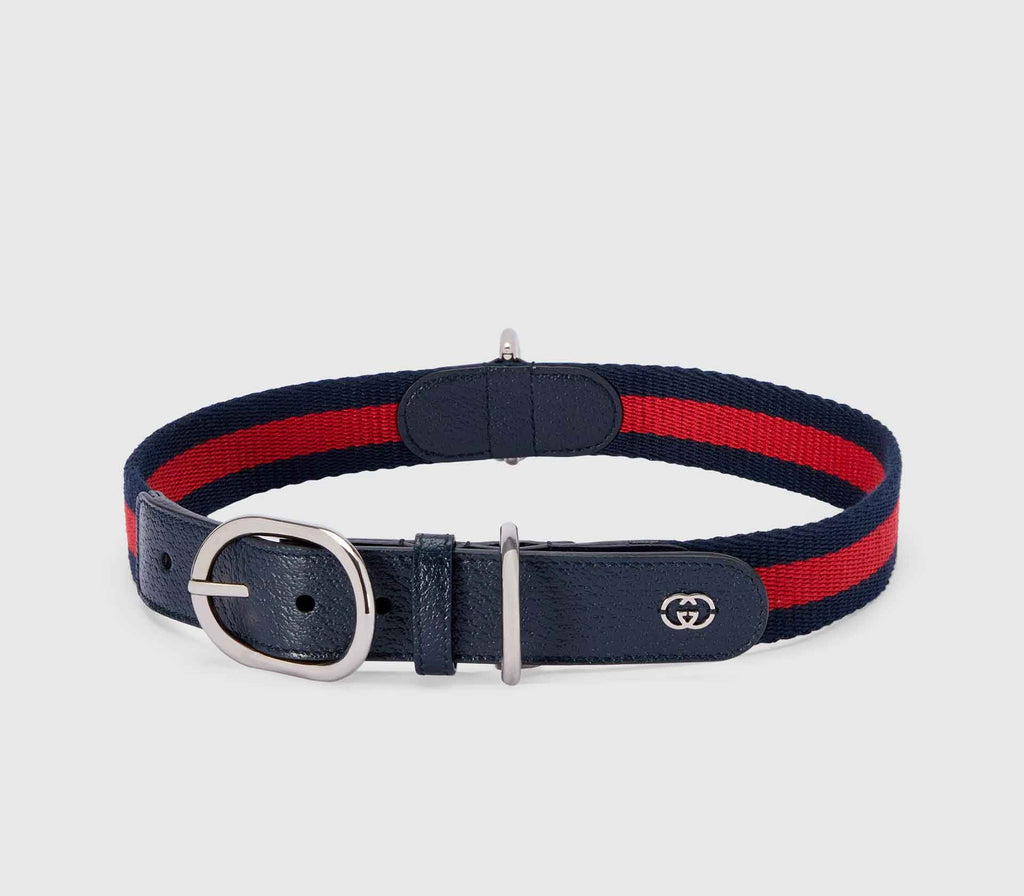 Coleira para Pet de Porte - Web Azul - Mercado de Luxo - O Maior E-Commerce de Bens, Produtos e Serviços de Luxo do Brasil.