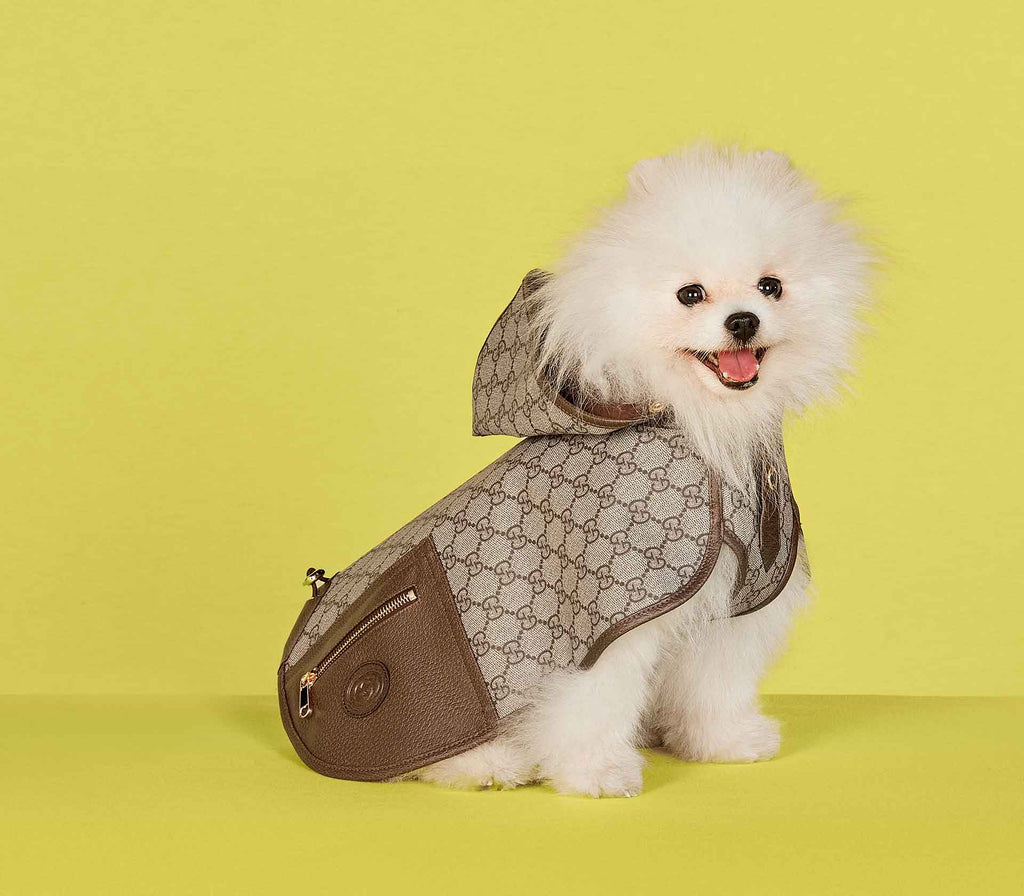 Casaco para Pet com Capuz - Tradicional - Mercado de Luxo - O Maior E-Commerce de Bens, Produtos e Serviços de Luxo do Brasil.