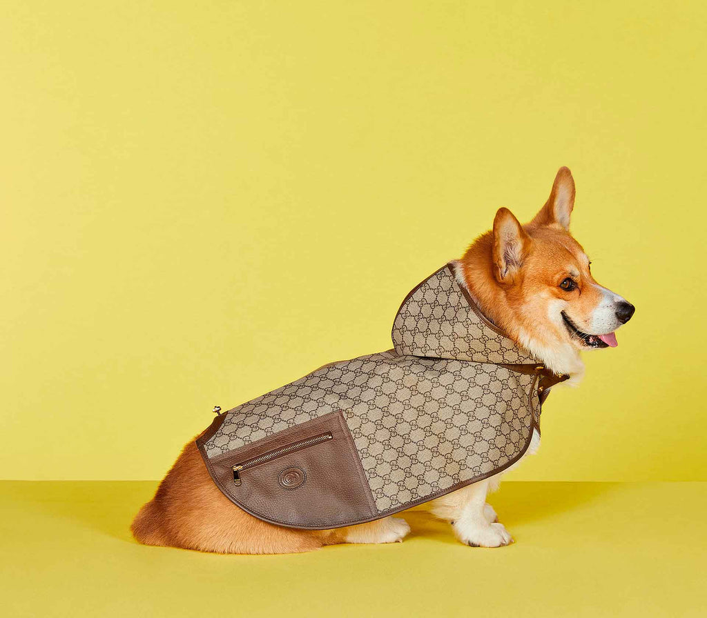 Casaco para Pet com Capuz - Tradicional - Mercado de Luxo - O Maior E-Commerce de Bens, Produtos e Serviços de Luxo do Brasil.