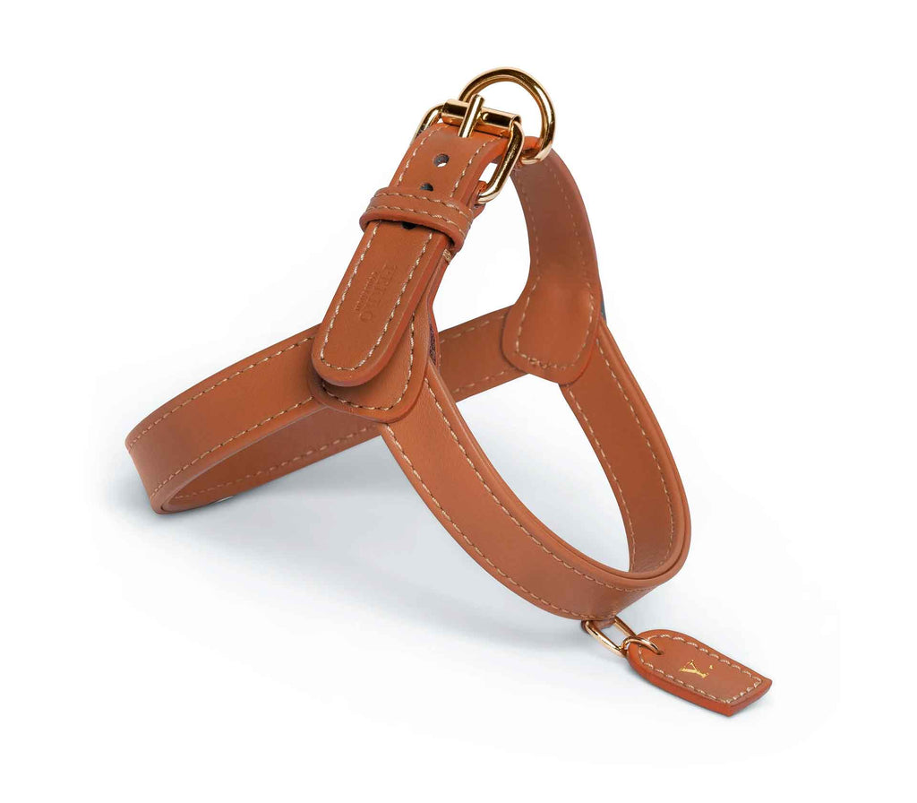 Coleira de Peito harness Caramelo - Mercado de Luxo - O Maior E-Commerce de Bens, Produtos e Serviços de Luxo do Brasil.