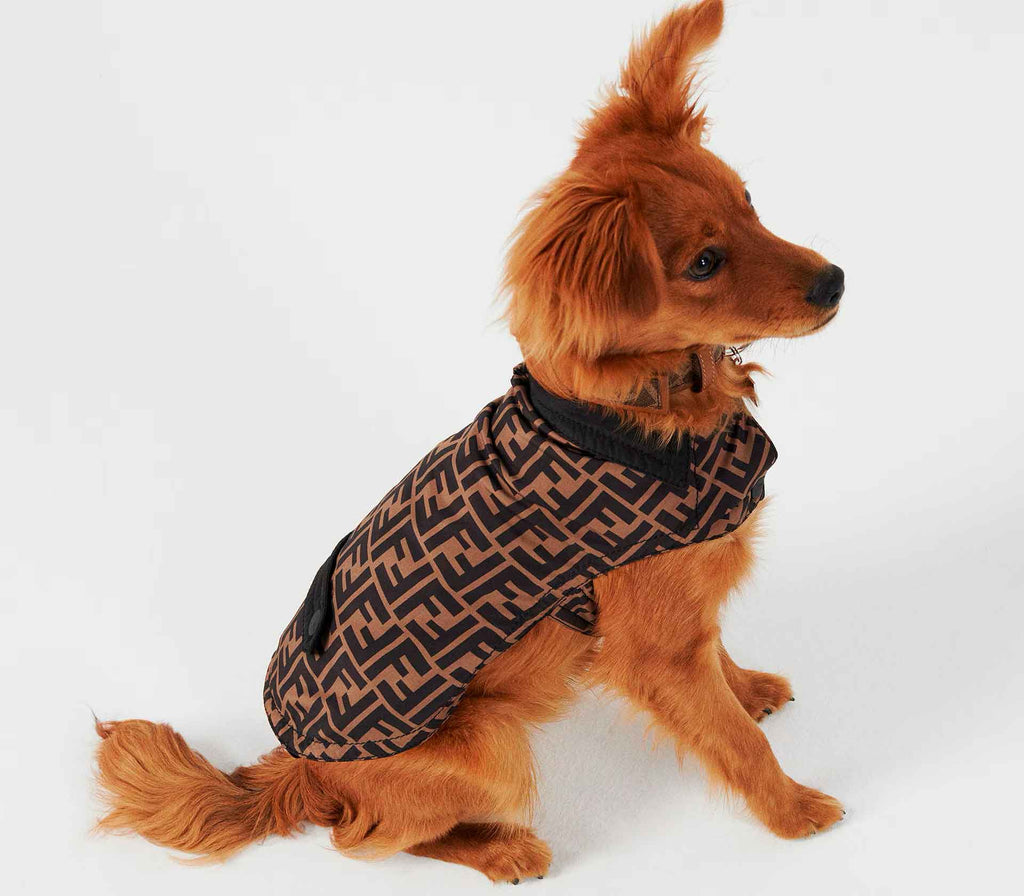 Casaco para Pet em Nylon - Tradicional - Mercado de Luxo - O Maior E-Commerce de Bens, Produtos e Serviços de Luxo do Brasil.