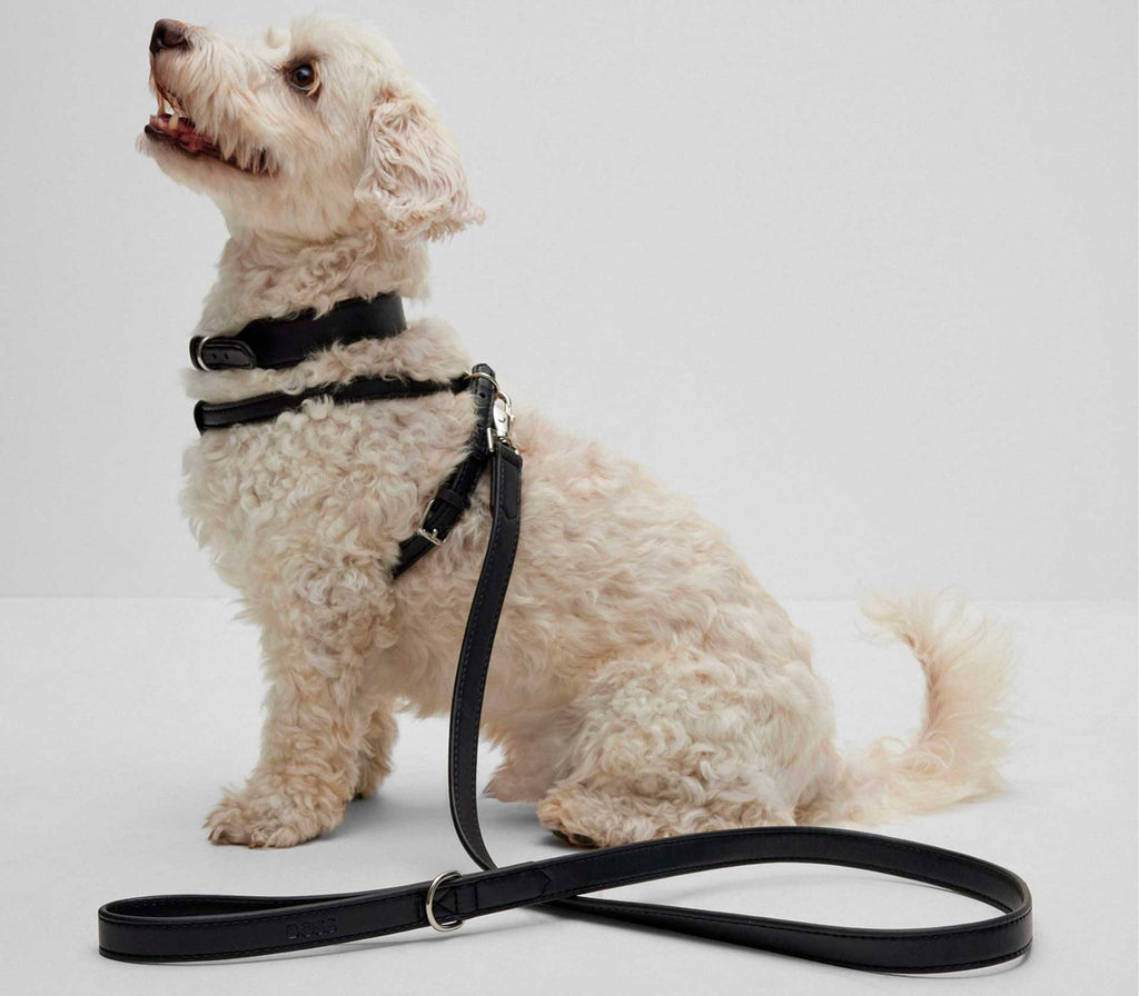 Guia de Coleira para Pet em Couro - Mercado de Luxo - O Maior E-Commerce de Bens, Produtos e Serviços de Luxo do Brasil.