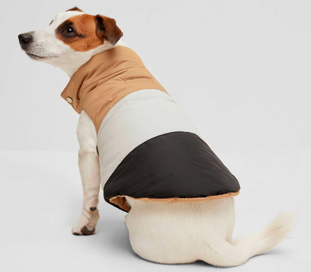 Jaqueta para Pet Reversível - Mercado de Luxo - O Maior E-Commerce de Bens, Produtos e Serviços de Luxo do Brasil.