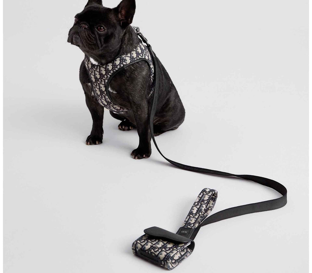 Guia de Coleira para Pet Oblique - Mercado de Luxo - O Maior E-Commerce de Bens, Produtos e Serviços de Luxo do Brasil.