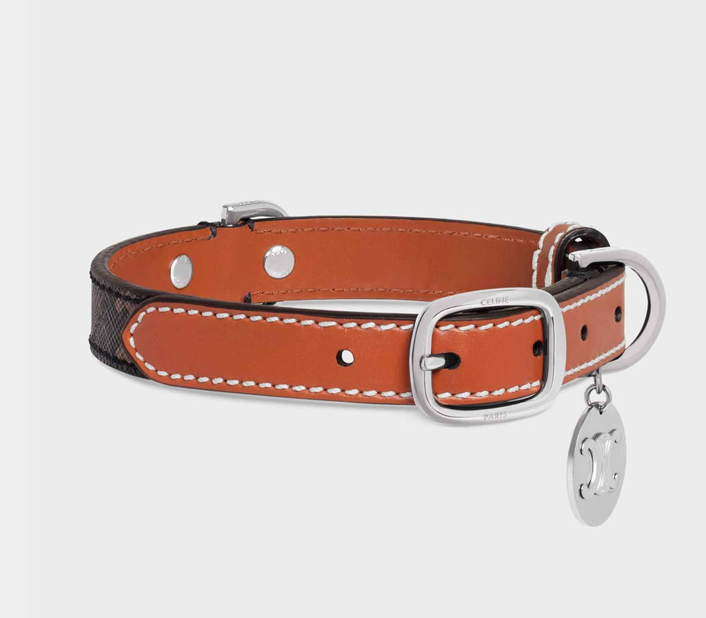 Coleira para Pet Triunfo Bicolor - Mercado de Luxo - O Maior E-Commerce de Bens, Produtos e Serviços de Luxo do Brasil.