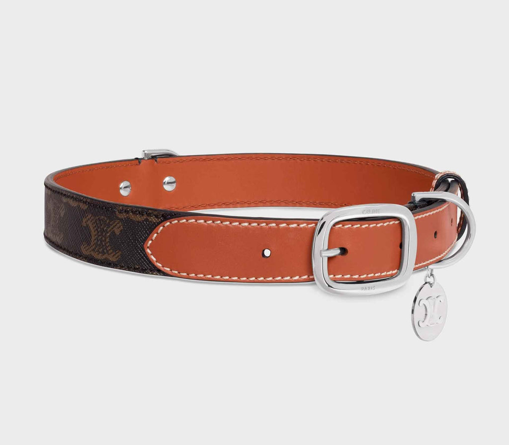 Coleira para Pet Triunfo Bicolor - Large - Mercado de Luxo - O Maior E-Commerce de Bens, Produtos e Serviços de Luxo do Brasil.