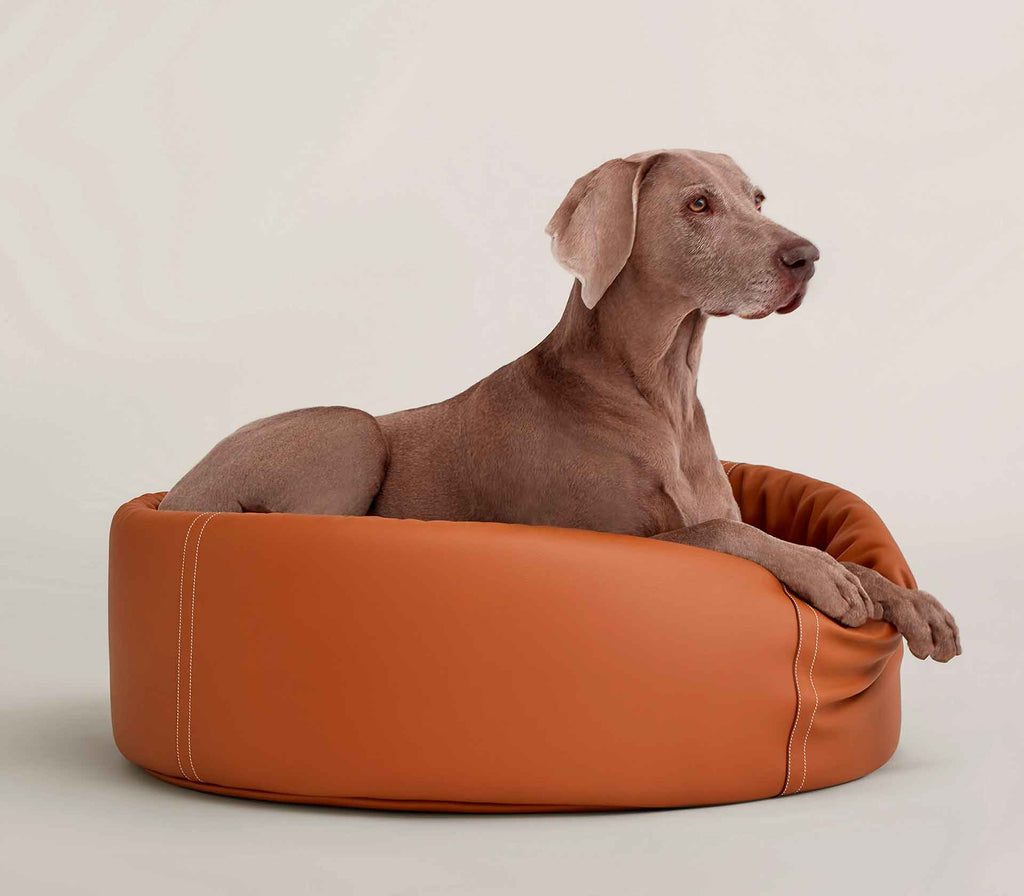 Cama para Pet em Couro Patapouf - Mercado de Luxo - O Maior E-Commerce de Bens, Produtos e Serviços de Luxo do Brasil.