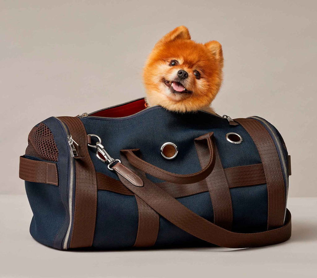 Bolsa de Passeio para Pet  - Mercado de Luxo - O Maior E-Commerce de Bens, Produtos e Serviços de Luxo do Brasil.
