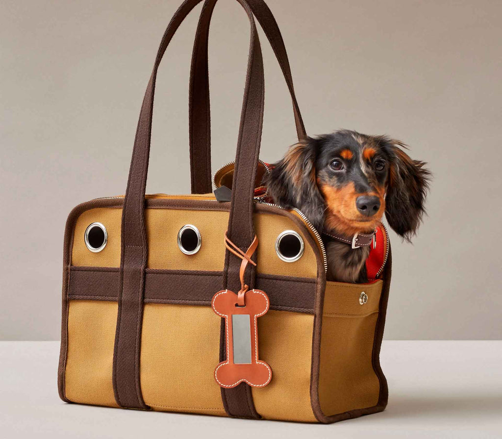 Bolsa de Passeio para Pet  - Mercado de Luxo - O Maior E-Commerce de Bens, Produtos e Serviços de Luxo do Brasil.