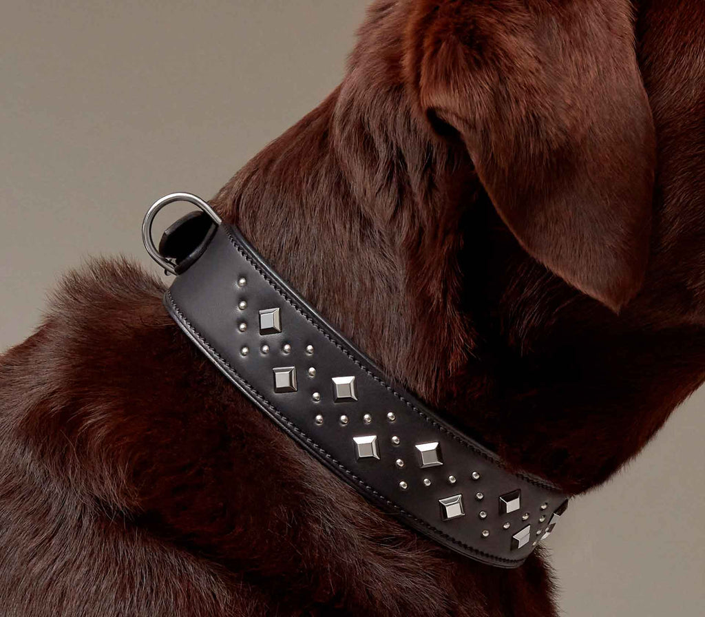 Coleira para Pet Punch - Mercado de Luxo - O Maior E-Commerce de Bens, Produtos e Serviços de Luxo do Brasil.