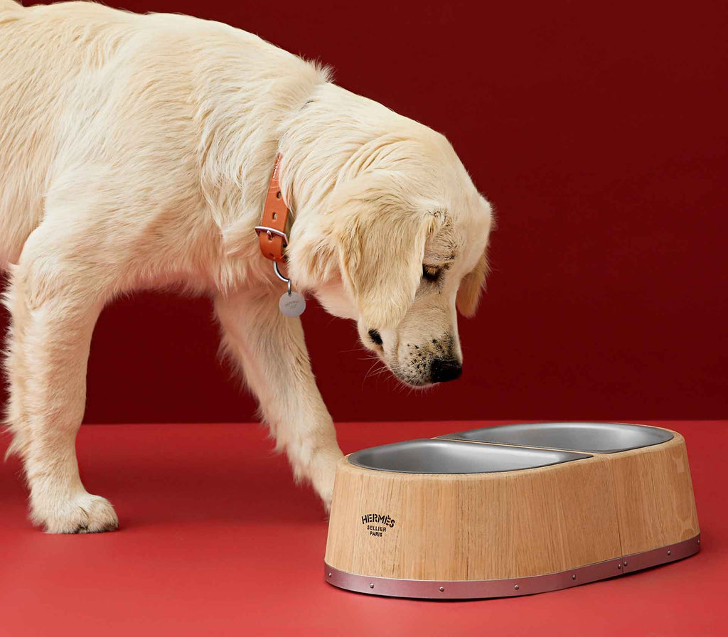 Tigela para Pet Dupla  - Mercado de Luxo - O Maior E-Commerce de Bens, Produtos e Serviços de Luxo do Brasil.