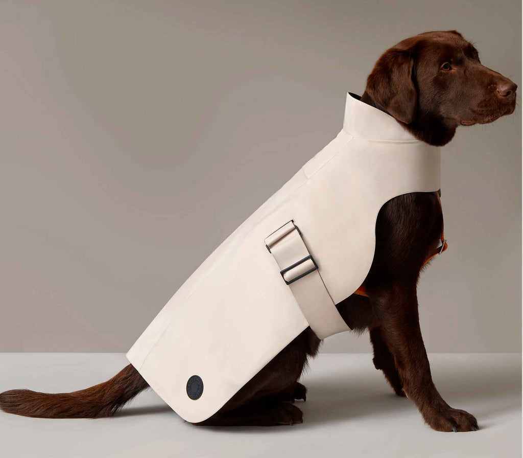 Roupa para Pet Raincoat Sellier Paris - Mercado de Luxo - O Maior E-Commerce de Bens, Produtos e Serviços de Luxo do Brasil.