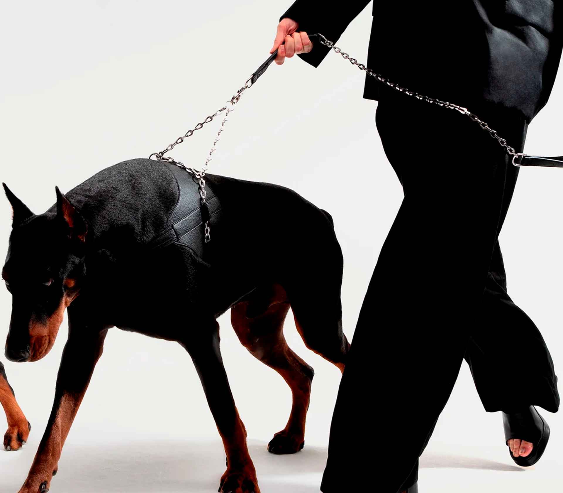Guia de Coleira para Pet The Ox - Mercado de Luxo - O Maior E-Commerce de Bens, Produtos e Serviços de Luxo do Brasil.