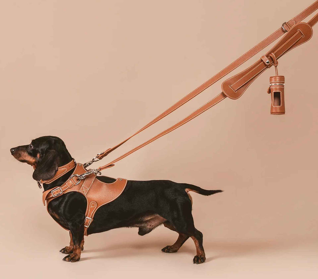 Guia de Coleira de Peito para Pet The Tascher - Mercado de Luxo - O Maior E-Commerce de Bens, Produtos e Serviços de Luxo do Brasil.