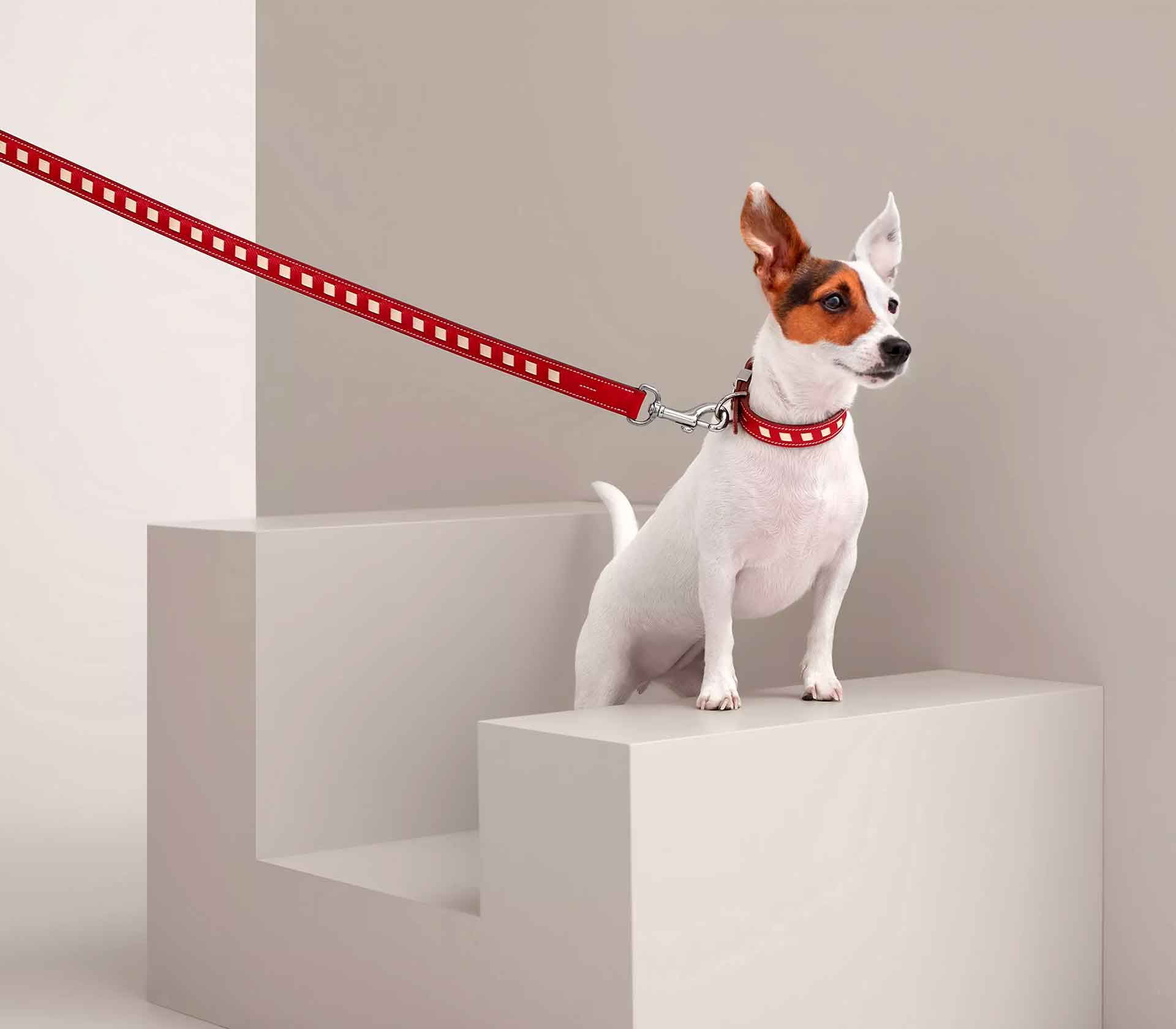 Guia de Coleira para Pet Tressee - Mercado de Luxo - O Maior E-Commerce de Bens, Produtos e Serviços de Luxo do Brasil.