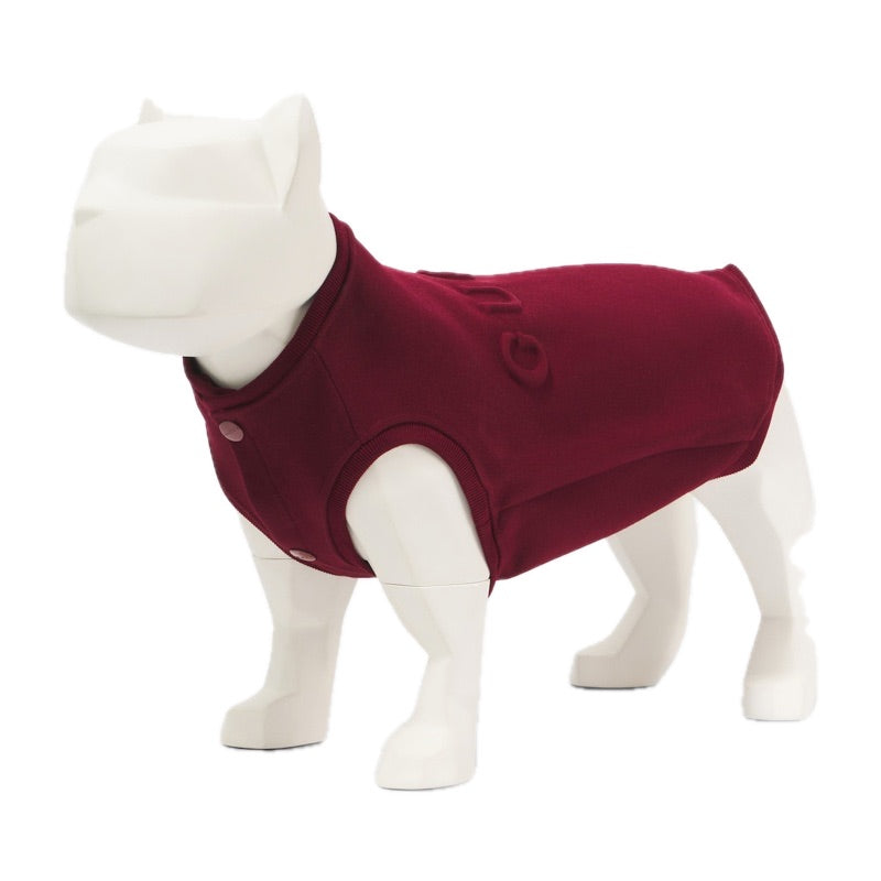 Suéter para cachorro Gucci Script em mistura de algodão - Mercado de Luxo - O Maior E-Commerce de Bens, Produtos e Serviços de Luxo do Brasil.