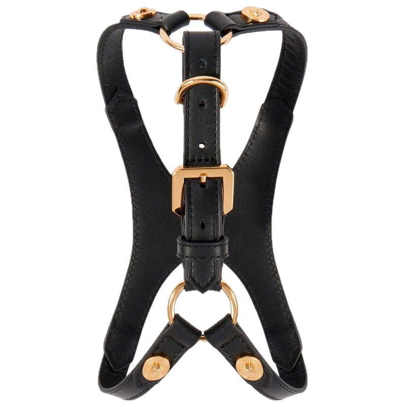 Arnês de couro para cães - Mercado de Luxo - O Maior E-Commerce de Bens, Produtos e Serviços de Luxo do Brasil.