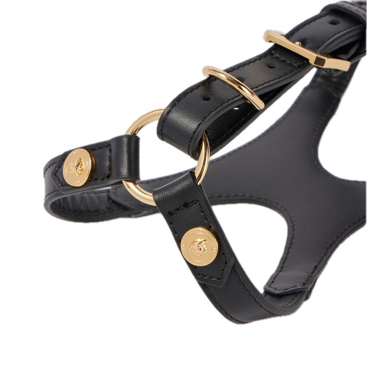 Arnês de couro para cães - Mercado de Luxo - O Maior E-Commerce de Bens, Produtos e Serviços de Luxo do Brasil.