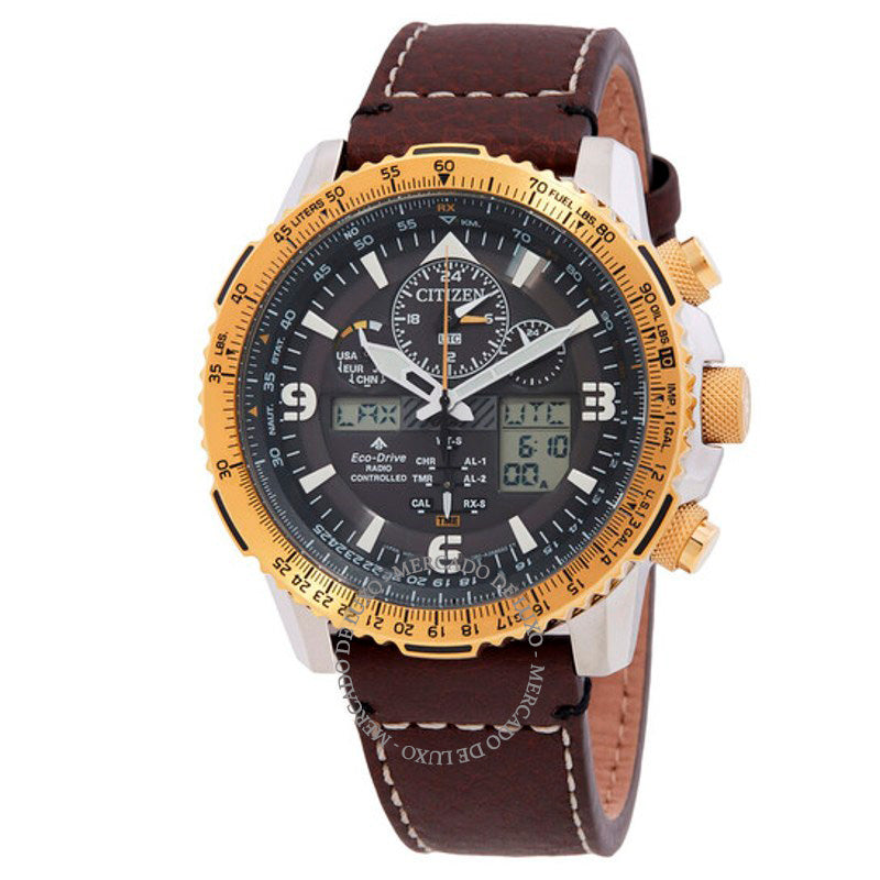 Relógio Promaster Skyhawk AT Perpetual Alarm Hora Mundial Cronógrafo 45 mm - Mercado de Luxo - O Maior E-Commerce de Bens, Produtos e Serviços de Luxo do Brasil.