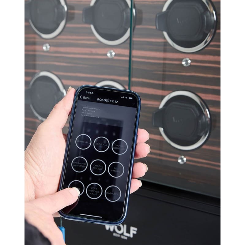 Caixas e Winders Roadster Cabinet 12 pç - Mercado de Luxo - O Maior E-Commerce de Bens, Produtos e Serviços de Luxo do Brasil.