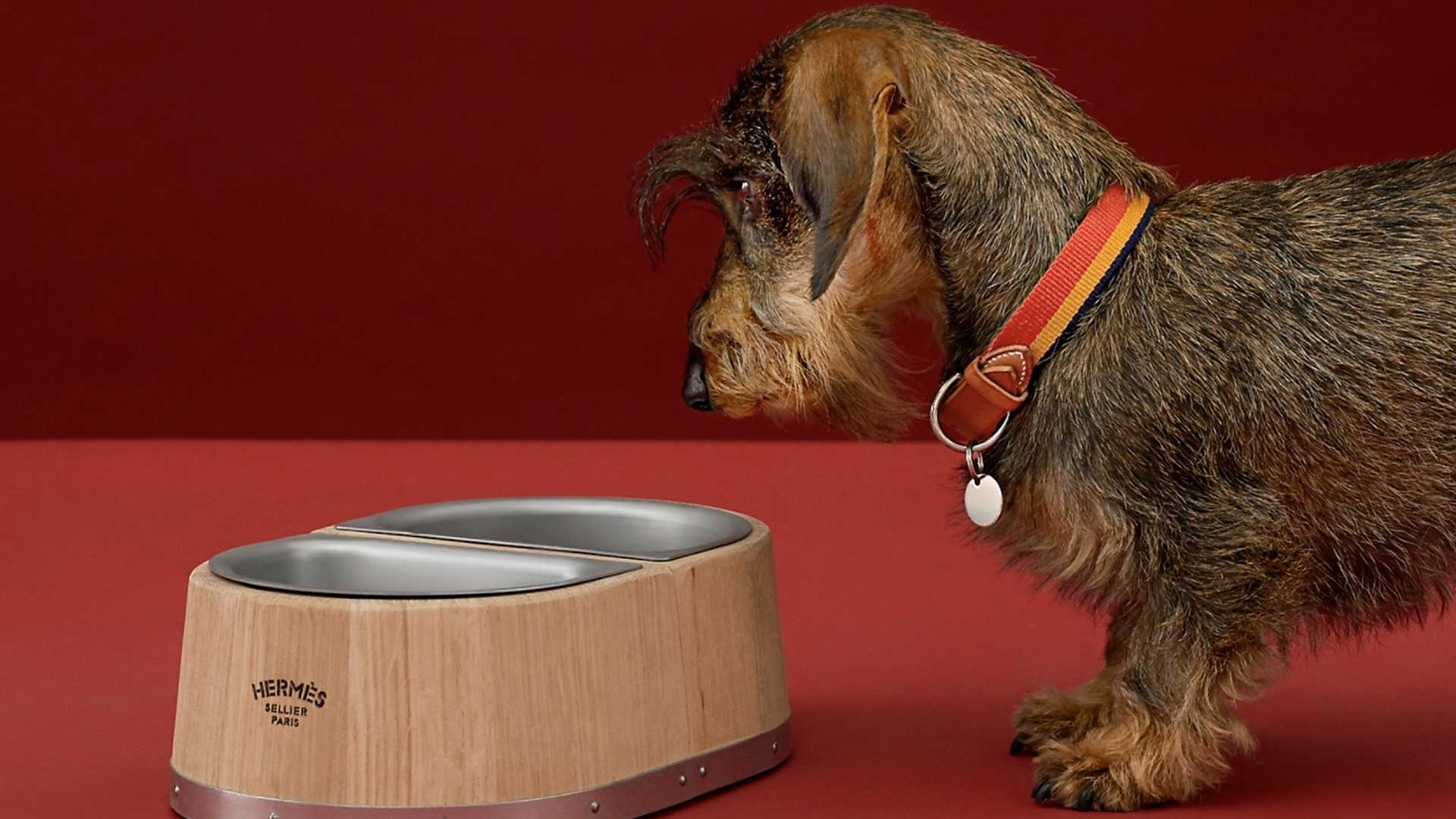 Tigela de Cachorro da Hermès: Luxo e Qualidade Artesanal para Pets