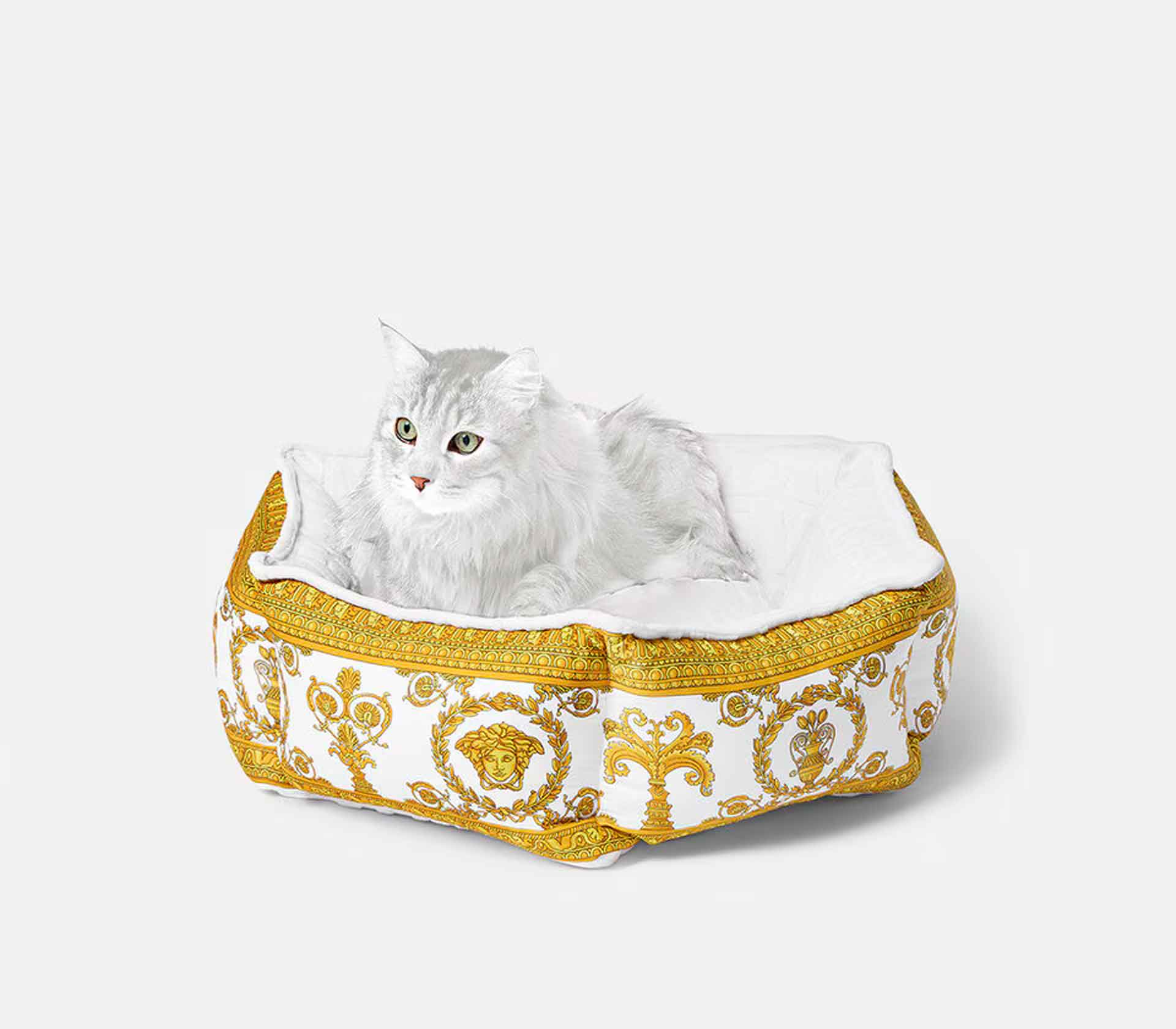 Cama para Pet - I Love Baroque P Branca