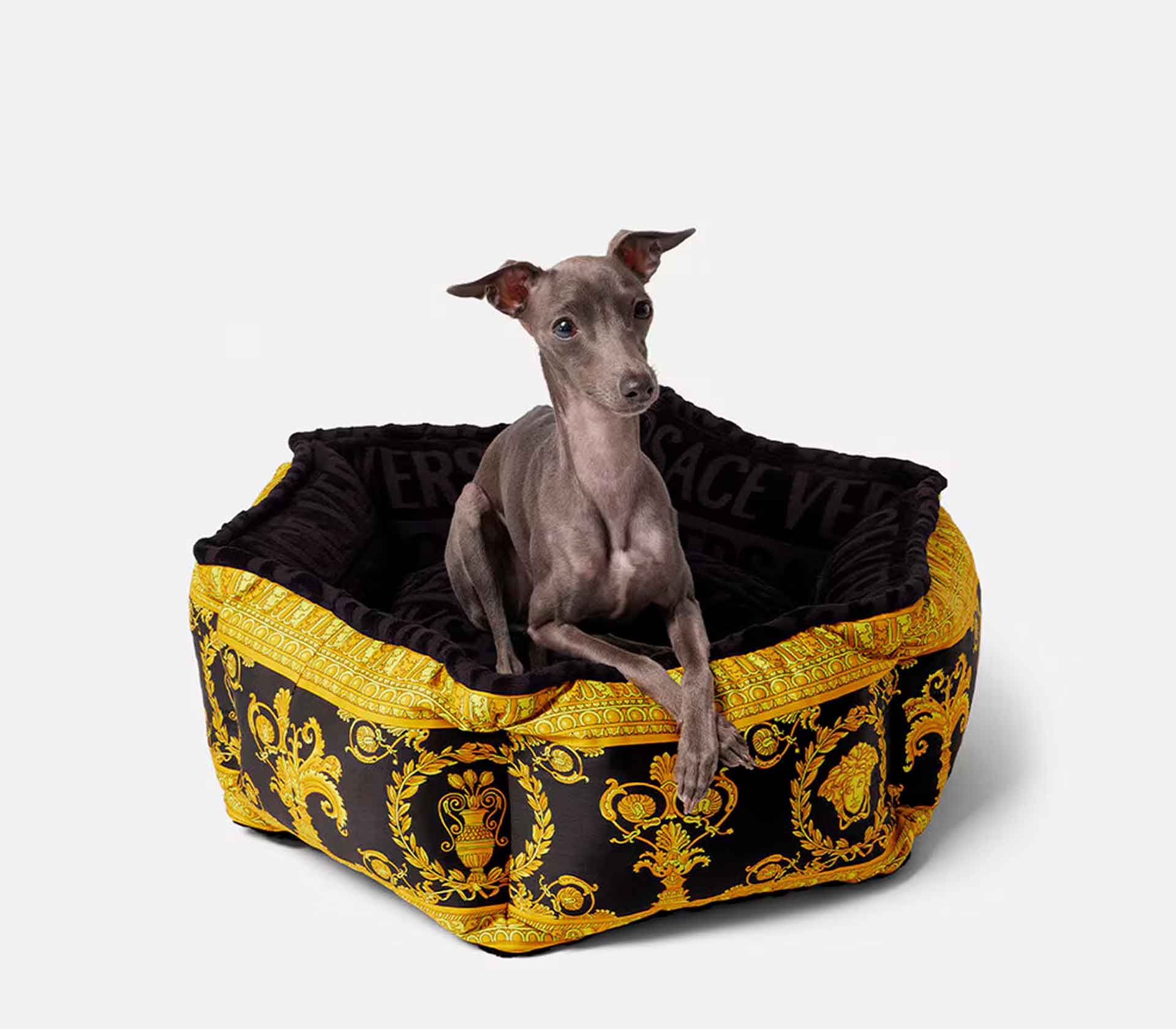 Cama para Pet - I Love Baroque P Preto