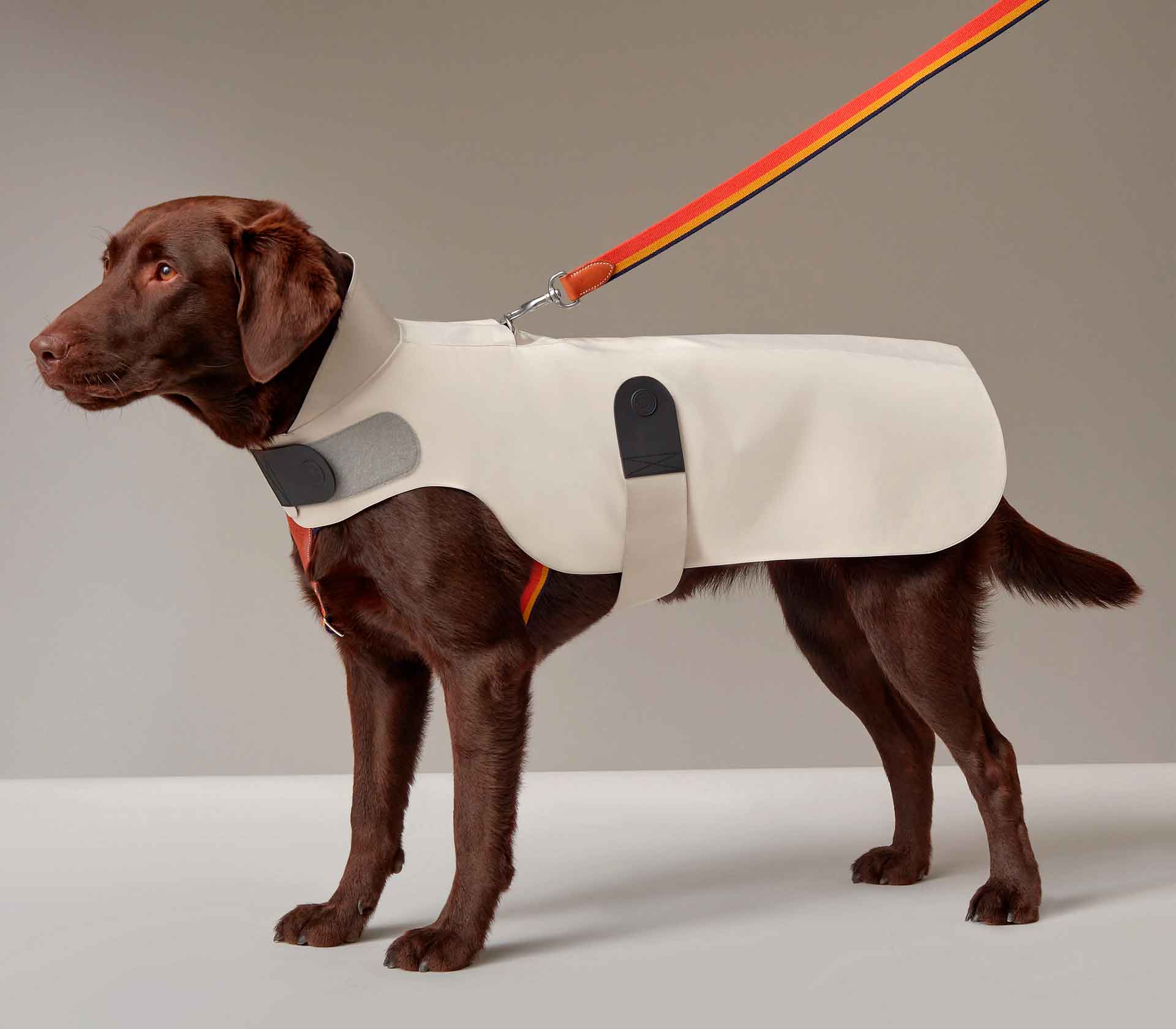 Roupa para Pet Raincoat Sellier Paris