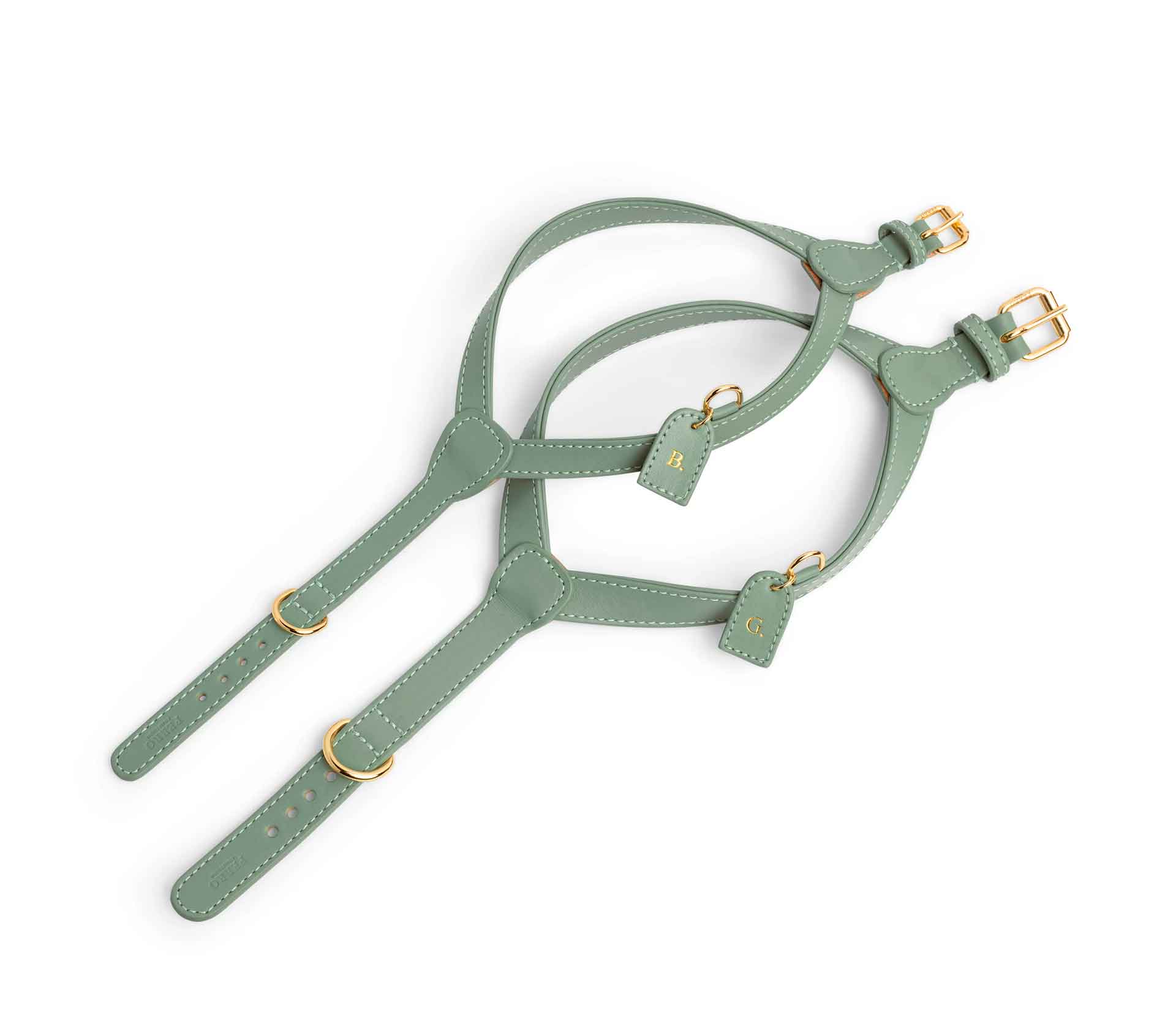 Coleira de Peito harness Verde Claro