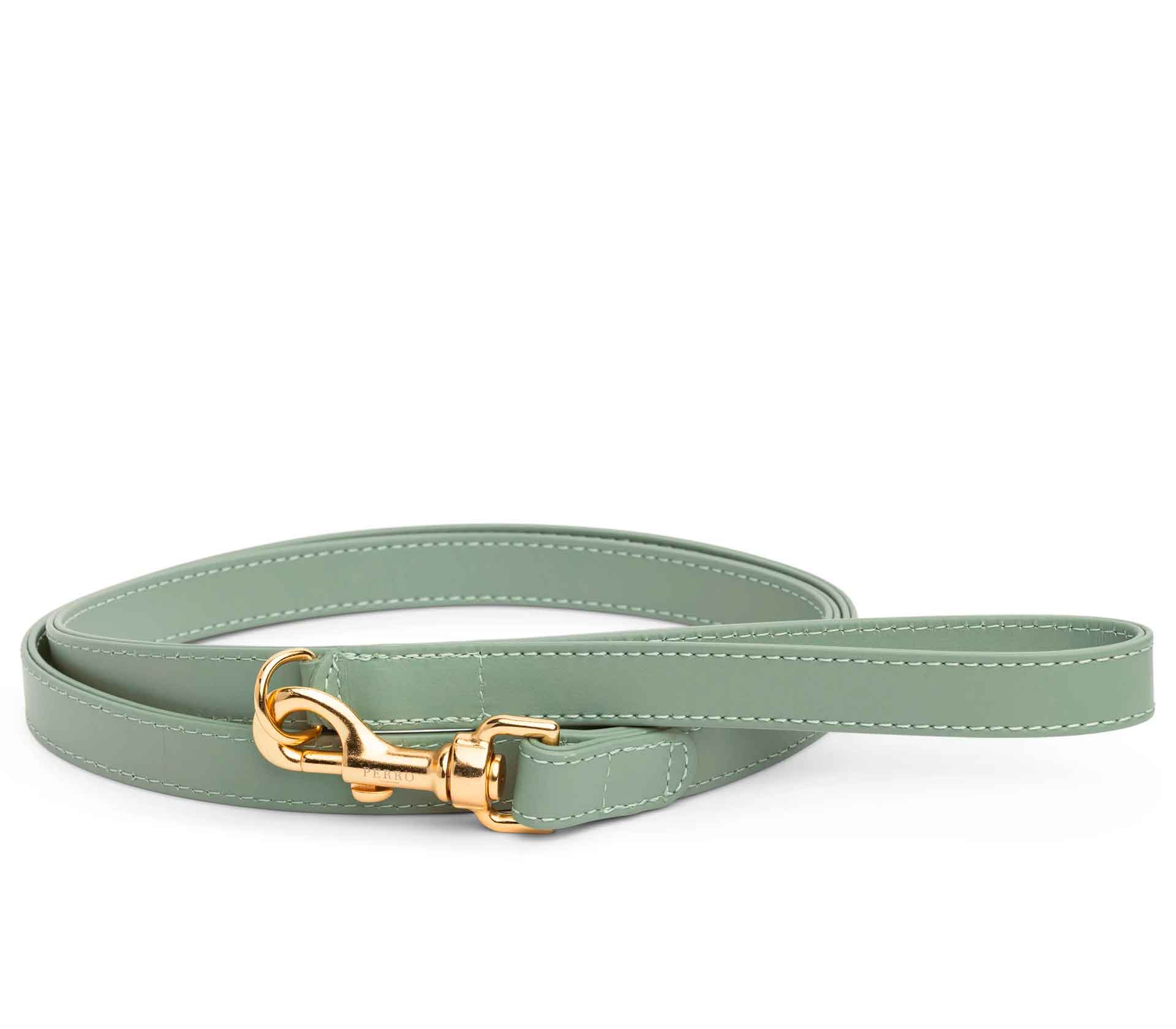 Guia de Coleira para Pet Dupla Harness Verde Claro